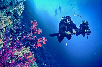 Diving in New Caledonia