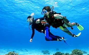Diving in New Caledonia