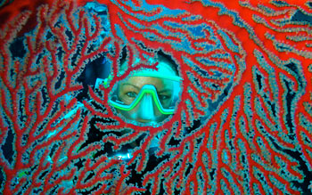 scuba diving new caledonia tieti 